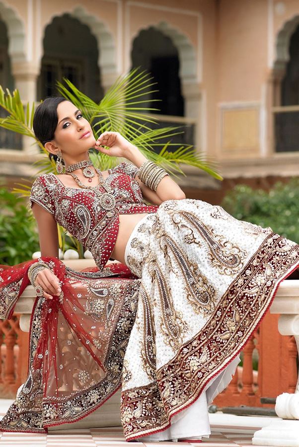 Picture of Traditional white & red colors velvet lehenga choli