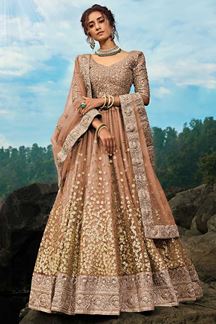 Picture of Pretty Brown Colored Lehenga Choli