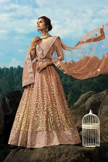 Picture of Pretty Brown Colored Lehenga Choli