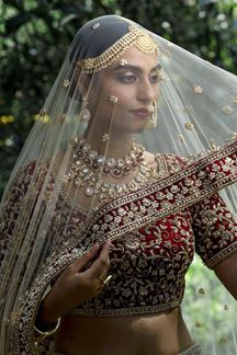 Picture of Gorgeous Two Dupatta Bridal Lehenga Choli