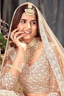 Picture of Amazing Beige Net Designer Lehenga Choli for Sangeet or Engagement