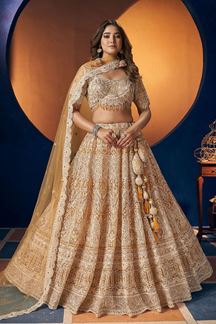 Picture of Charismatic Designer Lehenga Choli for Wedding and Reception
