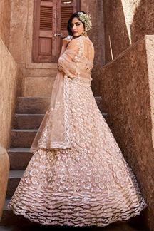 Picture of Aesthetic Nude Designer Indo-Western Lehenga Choli for Engagement, Sangeet, and Reception