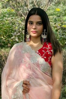 Picture of  Aesthetic Organza Silk Designer Saree for Engagement, Sangeet, and Parties