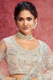 Picture of  Glamorous Premium Net Designer Saree for Reception, Sangeet, and Parties