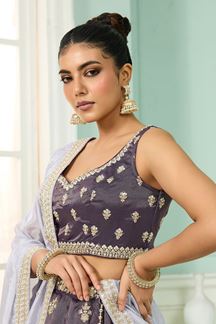Picture of  Charismatic Tissue Designer Indo-Western Lehenga Choli for Engagement and Reception