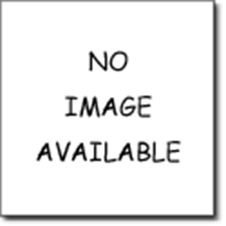 Picture of 4 CANCAN SKIRT